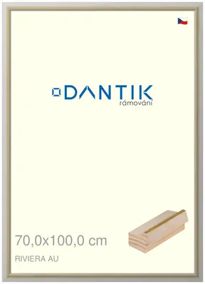 Obrázok produktu pre Rám DANTIK 70x100 | RIVIERA AU (Plexi Clear)