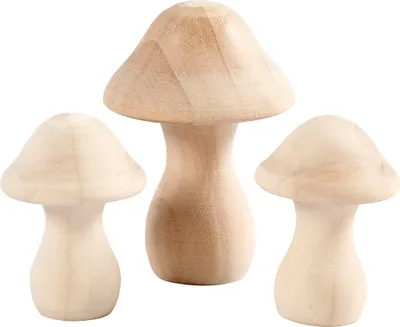 Produktbild von Creativ Company CC Houten Paddestoelen 4,5-6,5 cm 3 stuks