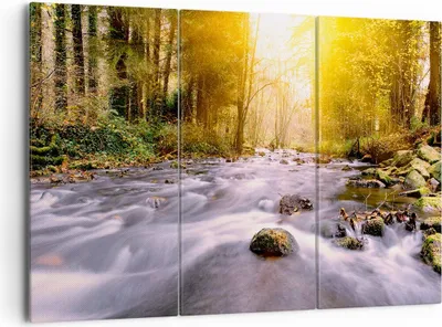 Produktbild von Bild auf Leinwand - Leinwandbild - Herbst Wald Berg Fluss - 165x110cm - Wand Bild - Wanddeko - Leinwanddruck - Bilder - Kunstdruck - Wanddekoration - Leinwand bilder - Wandkunst - CE165x110-0504