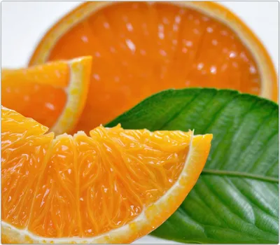 Produktbild von Spritzschutz Herdabdeckplatte Schneidebrett aus Glas Orangenscheiben 1-Teilig (60x52cm)