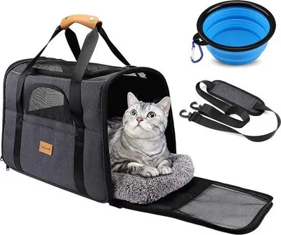 Produktbild von Katzensitzsack - Bequemer Tragegurt mit gepolsterter Katzenbox und Schulterklemme für kleine Hunde und Katzen.