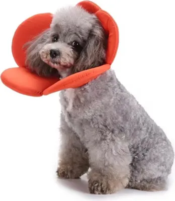 Imagen del producto de ZELURXX, collar para mascotas, ajustable, forma de flor, collar para gatos, collar para perros, talla S