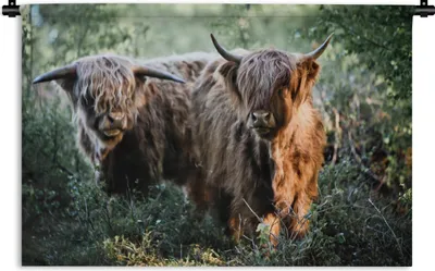 Produktbild von MuchoWow® Wandteppich Wandbehang Schottische Highlander - Wald - Tiere 150x100 cm Tapisserie Dekoration Wandtuch - Waschbar - Tapisserien - Wand-Decke