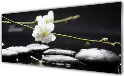 Produktbild von Glasbilder 125x50 Wandbild Druck auf Glas Blumen Steine Kunst
