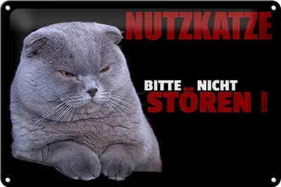 Produktbild von Blechschild Spruch 30x20cm Nutzkatze bitte nicht stören schwarz