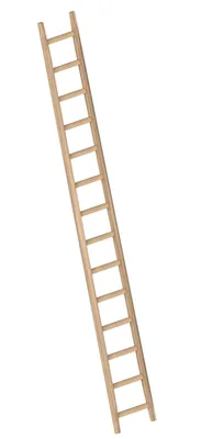 Immagine prodotto di Layher 1036 Scala a pioli in legno da cantiere, 14 pioli