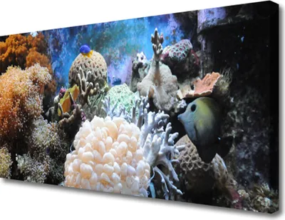 Produktbild von Tulup Leinwand-Bilder 100x50 Wandbild Canvas Kunstdruck Korallenriff Natur