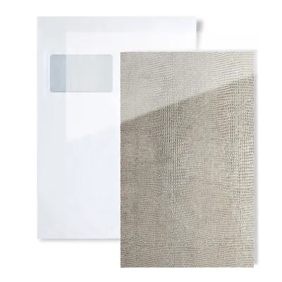 Immagine prodotto di 1 WallFace S-16979 LEGUAN SILVER AR+ S-Glass Collection pannello a parete campione | Formato circa A4