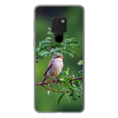 Produktbild von MuchoWow® Handyhülle Schutzhülle Hülle für Huawei P40 Lite Vogel - Baum - Wald Silikon Softcase Handy Hülle - Handy