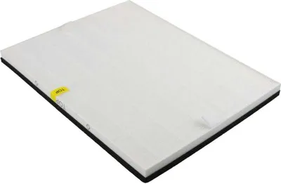Immagine prodotto di Filtro HEPA AEG H12 AX5 / AX7