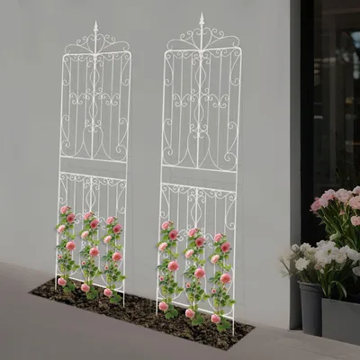 Immagine prodotto di Supporto per piante in metallo per giardino, con sistema di sostegno per piante rampicanti, set da 2 pezzi