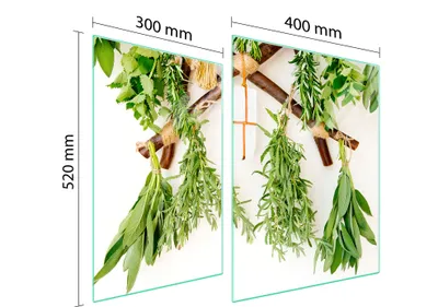 Image de Plaque De Protection En Verre Pour Herd 70X52 Herbes