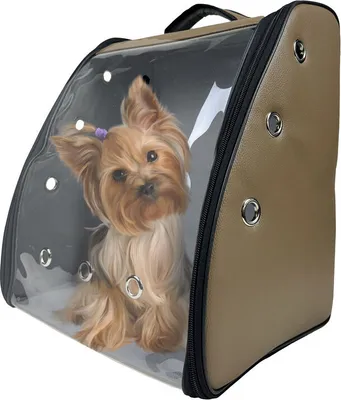 Produktbild von EVE Textile Hunderucksack Katzenrucksack Haustierrucksack 42x35x27 cm Braun Hundetasche Rucksack Atmungsaktiv zugelassen von Fluggesellschaften