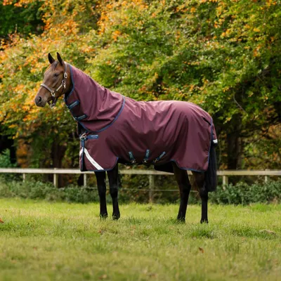 Produktbild von Horseware Weidedecke in Größe 140 - Amigo 1200D Plus Turnout 50g - Burgundy/Navy & Titanium Grey