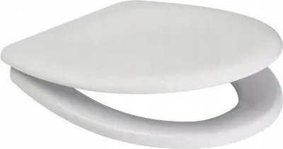 A white toilet seat is shown against a white background.
