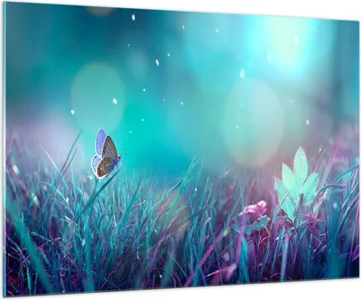 Produktbild von Bilder auf glas - Schmetterling Wiese Blume - 100x70cm - Glasbilder - Wandbilder - Kunstdruck - zum Aufhängen bereit - Wanddekoration aus Glas - Glas Bilder - Wandbild auf Glas - GAA100x70-4077