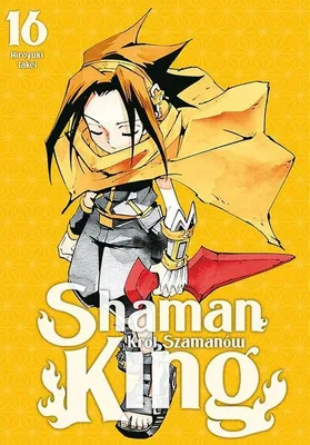 Obrázek produktu pro Shaman King. Tom 16