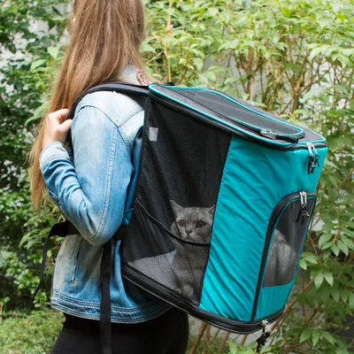 Produktbild von Navaris Rucksack für Hund Katze gepolstert - Hunderucksack Katzenrucksack mit Bauchgurt - 41x34,5x43cm Haustier Backpack faltbar - Traglast bis 12kg