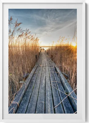 Produktbild von Eine Holzstraße zwischen Leisten– Wandbild mit Rahmen – Gerahmtes Bild  – Wanddekoration – 70x100 cm –  Weiß Rahmen