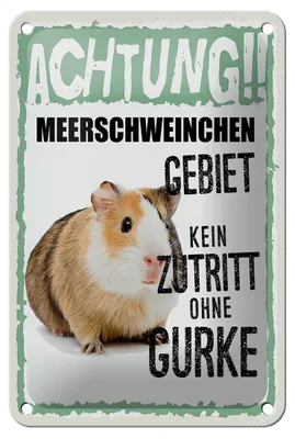 Produktbild von Blechschild Spruch 12x18cm Tiere Achtung Meerschweinchen Dekoration