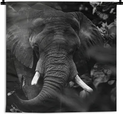Produktbild von MuchoWow® Wandteppich Wandbehang Tiere - Elefant - Schmetterlinge - Schwarz - Weiß 150x150 cm Tapisserie Dekoration Wandtuch - Wohnaccessoires - Modernes