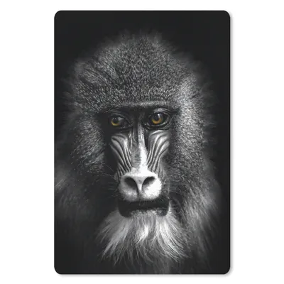 Produktbild von MuchoWow® Mauspad Mousepad Affe - Tiere - Augen - Braun - Schwarz und weiß 18x27 cm - Mousepads - Maus Mat - Pad - Mausunterlage
