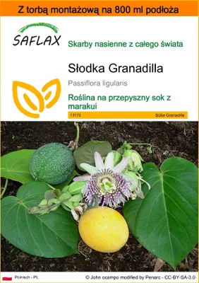 Zdjęcie produktu dla SAFLAX - Garden in the bag - Słodka Granadilla - 20 Nasiona - Z podłożem uprawowym w praktycznej, samorozkładającej się torbie - Passiflora ligularis