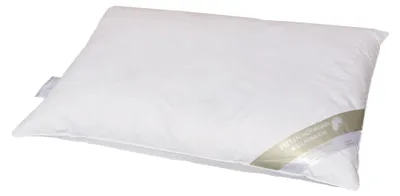 Produktbild von Betten Hofmann Canada Kopfkissen prall dick 50x75 cm Federkissen Kissen 30% Daunenanteil 750 g