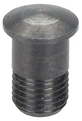Image de Campagnolo Magnetischer Nippeleinsatz Zonda