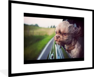 Produktbild von MuchoWow® MuchoWow® Gerahmtes Poster Hund - Auto - Tier 90x60 cm - Poster mit zchwarzem Bilderrahmen - Wanddekoration - Fotos