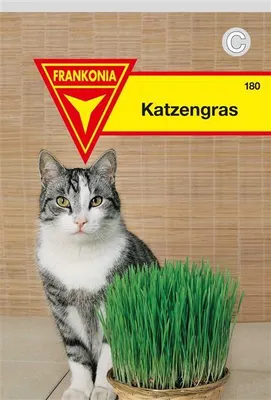 Produktbild von Katzengras