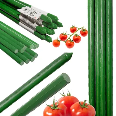 Produktbild von 4IQ Group Pflanzenstab Metall – 240 cm, 10 Stück, Grün, Kunststoffbeschichtet, Rankhilfe für Tomaten, Gemüse und Kletterpflanzen
