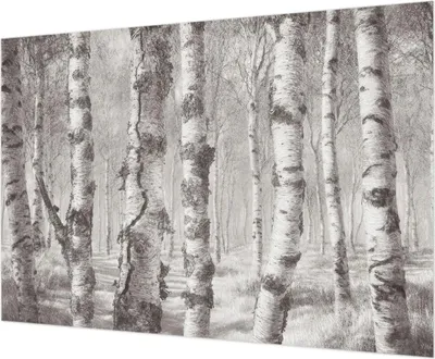 Produktbild von Wandtapete - Dekorative Tapete für Wohnzimmer  - Tapetenfolie für Wanddekoration - 312x219 cm - Birkenwald