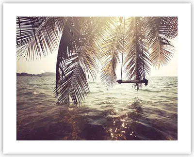 Produktbild von Poster - Poster ohne Rahmen - Meer Palme Wasser - 50x40 cm - Wand Bild - Wanddeko - Wandbilder - Kunstposter - Wandposter - Bilder - Kunstdruck - Wanddekoration - Wandbild - P2XAA50x40-3634
