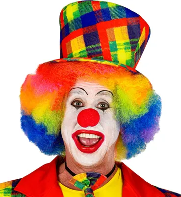 Produktbild von Bunter Clownszylinder für Erwachsene