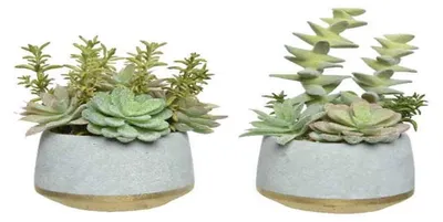 Produktbild von Kunst Sukkulente im Betontopf Dekopflanze Stückpreis H 21,5 cm