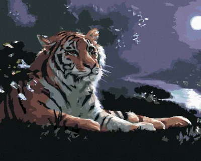 Produktbild von Zuty - Malen nach Zahlen - LIEGENDER TIGER, FLUSS UND VOLLMOND (D. RUSTY RUST), 40x50 cm, ohne Keilrahmen