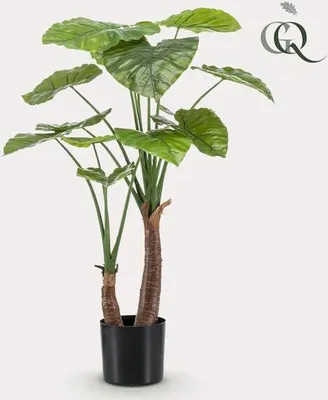 Produktbild von Alocasia - liście grotu strzały - sztuczna roślina - roślina domowa - ↕110cm