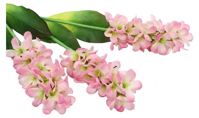 Produktbild von Künstliche Hyazinthenblüten, 48 cm, realistische Haptik, künstliche Hyazinthenzweige für Vase, Hochzeit, Zuhause, Garten, Büro – Dekoration