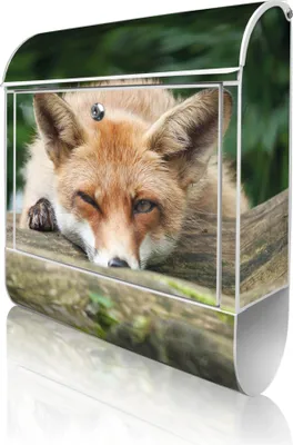 Produktbild von banjado Design Briefkasten Stahl weiß mit Zeitungsfach pulverbeschichtet "Fuchs Relax" 38x46x12,5cm & 2 Schlüssel - Postkasten A4 Einwurf inkl. Montagematerial [BKW 12902]