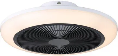 Productafbeelding van Eglo ventilator, 46 cm diameter, met LED-verlichting, dimfunctie en afstandsbediening