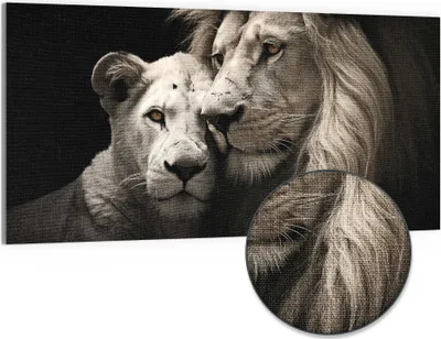 Produktbild von DEQORI Hybrid Leinwand Bild 100x50 cm 'Zarte Wildheit' Wandbild Glas flach modern