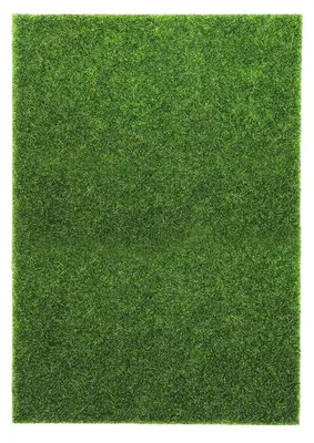 Produktbild von Kids Globe Kunstrasen 50 x 71,4 cm