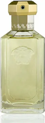 Produktbild von Versace Dreamer Eau de Toilette 100 ml für Herren, romantisch-orientalischer Klassiker von 1996 mit Salbei, Lavendel, Tabak