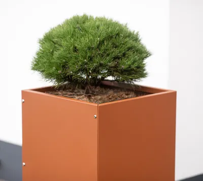 Produktbild von Herstera Garden Cube High Outdoor Pflanzsäule 50x50x100 cm