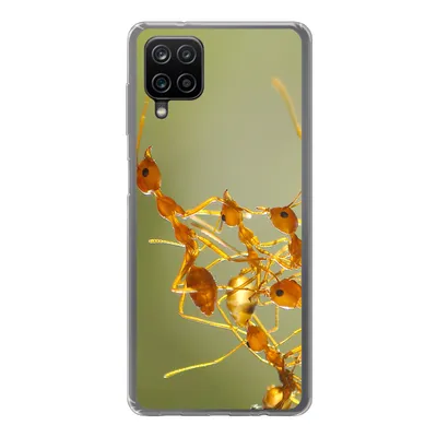 Produktbild von MuchoWow® Handyhülle Schutzhülle Hülle für Samsung Galaxy A12 Ameisen - Orange - Tiere Silikon Softcase Handy Hülle - Bild