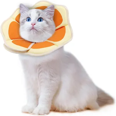 Productafbeelding van Verstelbare kattenhalsband, met belletje, maat S, oranje, geschikt voor binnen en buiten