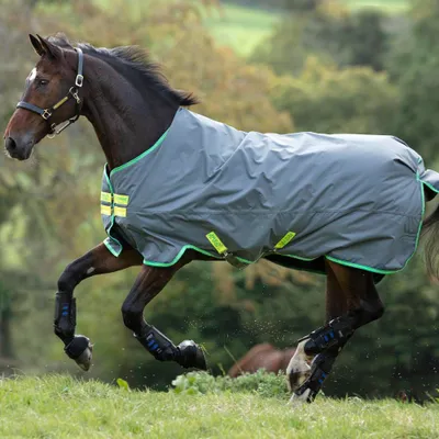 Produktbild von Horseware Amigo Hero 900D Turnout Medium 200g - Grey/Green, 160