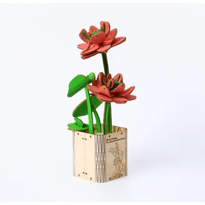 Image de Multiversum 3D : Puzzle Lotus