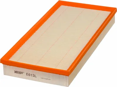 Obrázek produktu pro Hengst Filter Vzduchový Filtr E613L